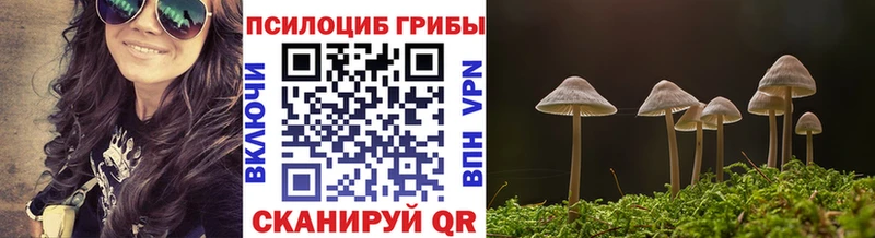 KRAKEN как зайти  Кубинка  Галлюциногенные грибы Psilocybe 